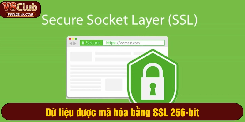 Dữ liệu được mã hóa bằng SSL 256-bit