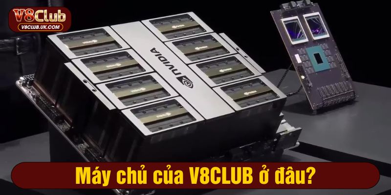 Máy chủ của V8CLUB ở đâu